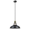 Globe Electric CEILING LITE AB 60W 12""L 60893